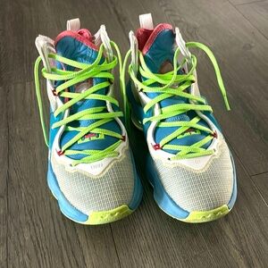 Lebron Nike basketball shoes